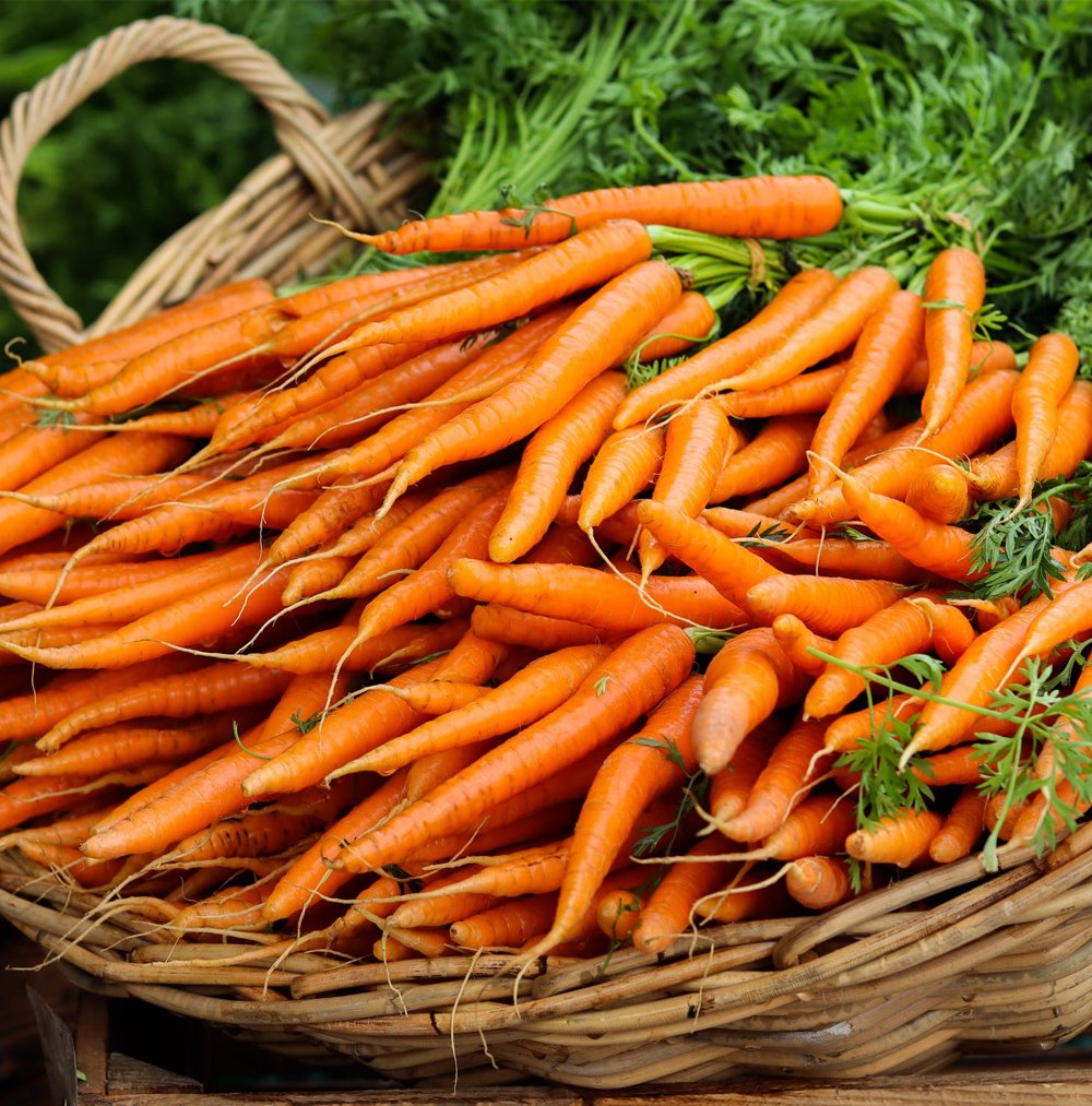 <strong>Vitamin A</strong>