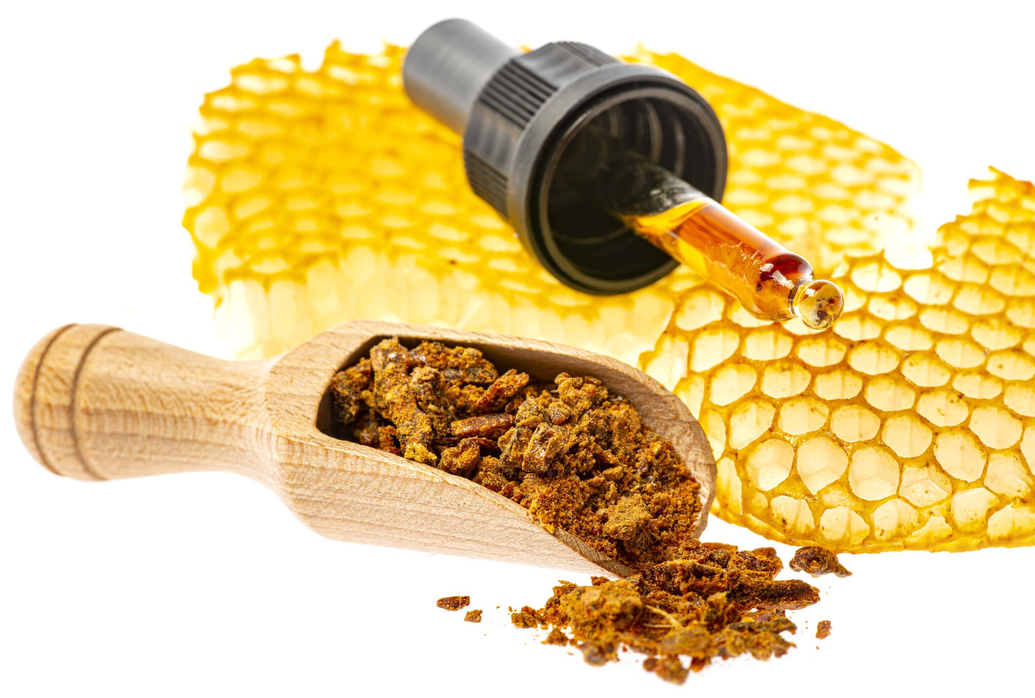 Know the<br><strong> Propolis</strong>