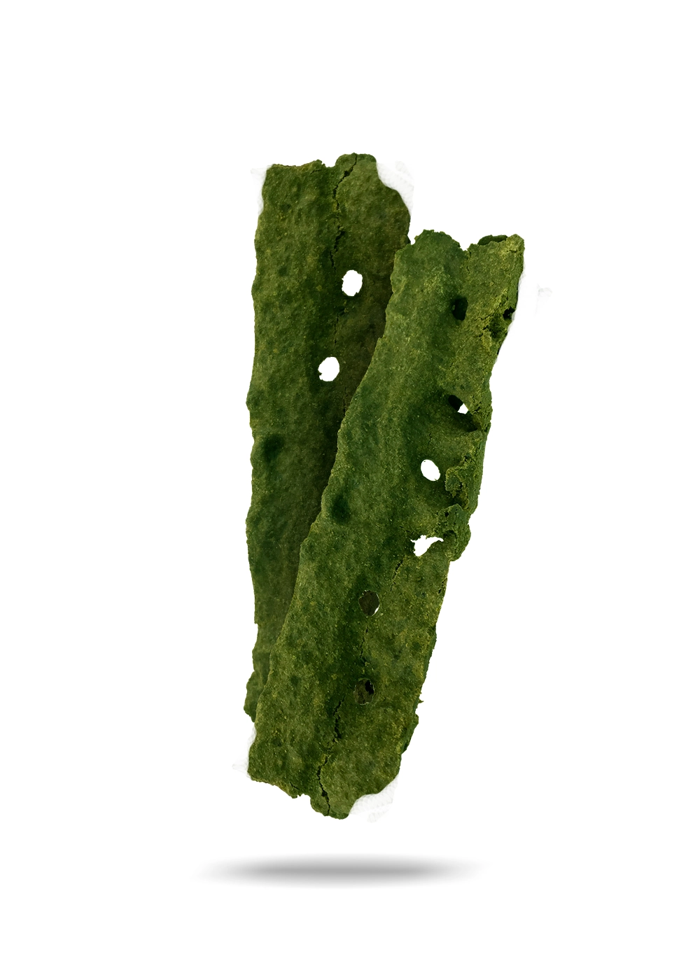Conheça a<br><strong> Própolis Verde</strong>