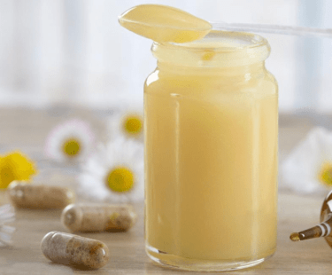 Review - Royal Jelly: An ancient remedy with remarkable antibacterial properties