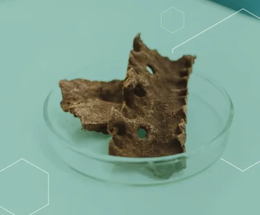 CINCO BENEFÍCIOS DA PRÓPOLIS PARA A SAÚDE