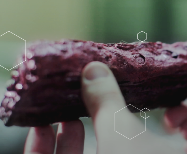 PRÓPOLIS VERMELHA: O QUE É, BENEFÍCIOS E COMO USAR